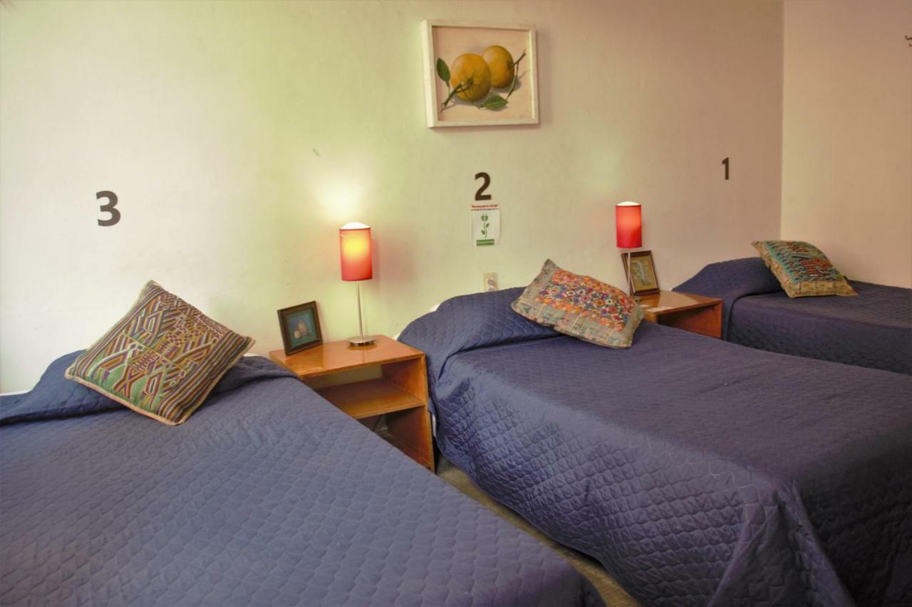 Hotel Lit Guadalajara Eksteriør billede
