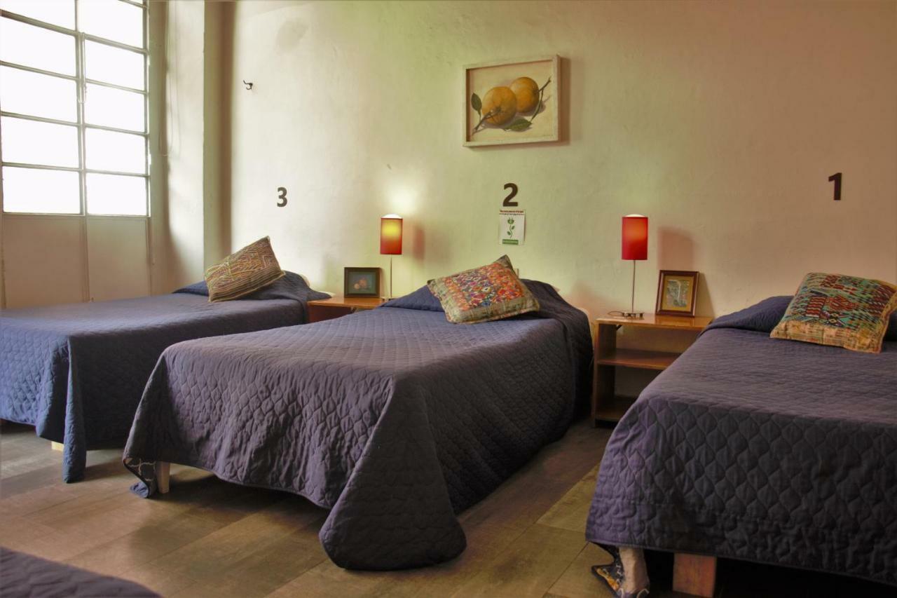 Hotel Lit Guadalajara Eksteriør billede